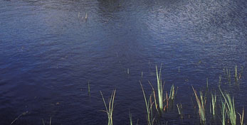 Clear Blue Pond Water